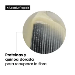 ABSOLUT REPAIR GOLD CHAMPÚ 300ML