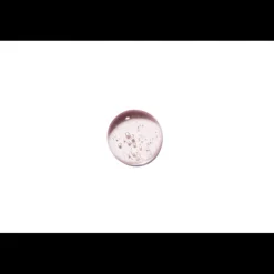 CHROMA ABSOLU CHAMPÚ BAIN RICHE CHROMA RESPECT 250ML