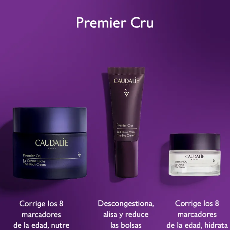 COFRE PREMIER CRU CREMA RICHE