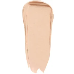 CONCEALER