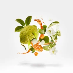 NAXOS EAU DE PARFUM