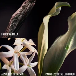 OLYMPÉA PARFUM
