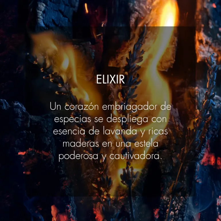 SAUVAGE ELIXIRElixir - notas especiadas, frescas y amaderadas