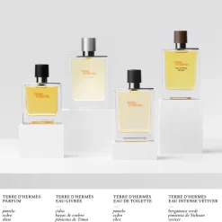 TERRE D'HERMÈS EAU DE TOILETTE